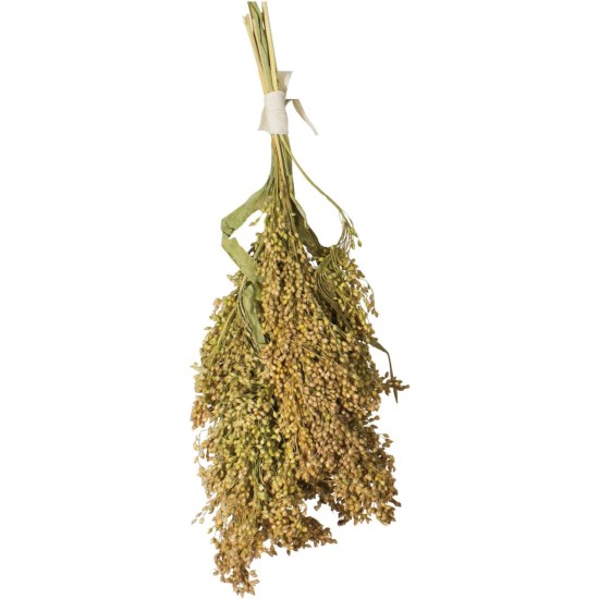 JR FARM Birds Panicle Millet 100 g JR FARM Birds Panicle Millet 100 g