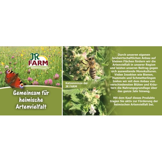 JR FARM Birds Panicle Millet 100 g JR FARM Birds Panicle Millet 100 g