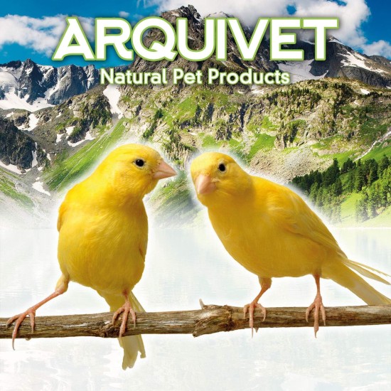 Yellow Breeding Paste and Care for Birds, Yellow, 5 kg (Pack of 1) Yellow Breeding Paste and Care for Birds, Yellow, 5 kg (Pack of 1)