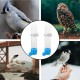 2 Stück Hängende Vogelwasserflasche, Automatischer Vogelwasserspender, Futterspender Vogel Wasserspender, Hängende Vogeltränke, Vogelkäfig-Wasserspender, für Papageien, Wellensittiche 2 Stück Hängende Vogelwasserflasche, Automatischer Vogelwasserspender, Futterspender Vogel Wasserspender, Hängende Vogeltränke, Vogelkäfig-Wasserspender, für Papageien, Wellensittiche
