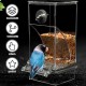 2 x Transparent Bird Feeder, Bird Feeder, Parakeet Cage Feeder, Automatic Bird Feeder for Birds for Budgies, Canaries, Cockatiels, Finches 2 x Transparent Bird Feeder, Bird Feeder, Parakeet Cage Feeder, Automatic Bird Feeder for Birds for Budgies, Canaries, Cockatiels, Finches