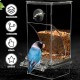 2 x Transparent Bird Feeder, Bird Feeder, Parakeet Cage Feeder, Automatic Bird Feeder for Birds for Budgies, Canaries, Cockatiels, Finches 2 x Transparent Bird Feeder, Bird Feeder, Parakeet Cage Feeder, Automatic Bird Feeder for Birds for Budgies, Canaries, Cockatiels, Finches
