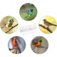5 Pieces Plastic Bird Bowl Bird Cage, Water Bowl Bird Cage, Bird Cage Bowl for Hanging, Hanging Bird Feeder Bowl, Water Dispenser Bird, for Birds Parrots Bird Cage Accessories 5 Pieces Plastic Bird Bowl Bird Cage, Water Bowl Bird Cage, Bird Cage Bowl for Hanging, Hanging Bird Feeder Bowl, Water Dispenser Bird, for Birds Parrots Bird Cage Accessories