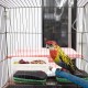 5 Pieces Plastic Bird Bowl Bird Cage, Water Bowl Bird Cage, Bird Cage Bowl for Hanging, Hanging Bird Feeder Bowl, Water Dispenser Bird, for Birds Parrots Bird Cage Accessories 5 Pieces Plastic Bird Bowl Bird Cage, Water Bowl Bird Cage, Bird Cage Bowl for Hanging, Hanging Bird Feeder Bowl, Water Dispenser Bird, for Birds Parrots Bird Cage Accessories