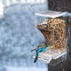 Automatic Bird Feeder Anti Spill No Mess Seed Feeder Feeder Container Parrot Toy Cage Accessories Perch for Budgies Canary