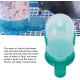 Automatic Bird Feeder Plastic Pet Dryer Dispenser Bird Bath Dispenser for Bird Cage Green Automatic Bird Feeder Plastic Pet Dryer Dispenser Bird Bath Dispenser for Bird Cage Green