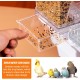 Automatic Bird Feeder, Transparent Bird Feeder with Water Dispenser, Hanging Bird Feeder for Small, Medium Cockatiels, Parakeets