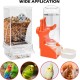Automatic Bird Feeder, Transparent Bird Feeder with Water Dispenser, Hanging Bird Feeder for Small, Medium Cockatiels, Parakeets