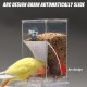 Automatic Bird Feeder and Water Dispenser: Transparent Hanging Feeder Birds and Water Dispenser for Birds, Bird Feeder for Budgies, Cockatiels, Canaries Automatic Bird Feeder and Water Dispenser: Transparent Hanging Feeder Birds and Water Dispenser for Birds, Bird Feeder for Budgies, Cockatiels, Canaries