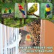 Automatic Feeder for Birds and Parrots - Bird Feeder with Drinking Fountain for Budgies, Canaries, Finches