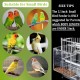 Bird Cage Feeder No Mess Bird Feeder, Automatic Bird Feeder for Cage No Spill Bird Feeder Mess Free Bird Feeder for Cage Parakeet Parrot Cockatiel Lovebirds Bird Cage Seed Feeder Bird Cage Feeder No Mess Bird Feeder, Automatic Bird Feeder for Cage No Spill Bird Feeder Mess Free Bird Feeder for Cage Parakeet Parrot Cockatiel Lovebirds Bird Cage Seed Feeder