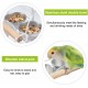 Bird Food and Water Bowl, Transparent Bird Feeder for Cage, Stainless Steel Double Bird Bowls with Non-Slip Stand for Parakeets, Psittacus Erithacus, Lovebirds, Budgies Bird Food and Water Bowl, Transparent Bird Feeder for Cage, Stainless Steel Double Bird Bowls with Non-Slip Stand for Parakeets, Psittacus Erithacus, Lovebirds, Budgies
