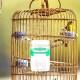 Birds Automatic Water Dispenser, Pack of 2 Parrots Drinkers, Automatic Bird Water Dispenser, Parrot Feeder for Aviaries, Budgies, Cockatiels, Parrots 13.4 x 7.5 x 3.2 cm Birds Automatic Water Dispenser, Pack of 2 Parrots Drinkers, Automatic Bird Water Dispenser, Parrot Feeder for Aviaries, Budgies, Cockatiels, Parrots 13.4 x 7.5 x 3.2 cm