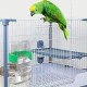 Birds Automatic Water Dispenser, Pack of 2 Parrots Drinkers, Automatic Bird Water Dispenser, Parrot Feeder for Aviaries, Budgies, Cockatiels, Parrots 13.4 x 7.5 x 3.2 cm Birds Automatic Water Dispenser, Pack of 2 Parrots Drinkers, Automatic Bird Water Dispenser, Parrot Feeder for Aviaries, Budgies, Cockatiels, Parrots 13.4 x 7.5 x 3.2 cm