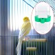 Birds Automatic Water Dispenser, Pack of 2 Parrots Drinkers, Automatic Bird Water Dispenser, Parrot Feeder for Aviaries, Budgies, Cockatiels, Parrots 13.4 x 7.5 x 3.2 cm Birds Automatic Water Dispenser, Pack of 2 Parrots Drinkers, Automatic Bird Water Dispenser, Parrot Feeder for Aviaries, Budgies, Cockatiels, Parrots 13.4 x 7.5 x 3.2 cm