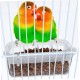 COLLBATH Bird Feeder for Bird Cages, Hanging Feeding Bowl Made of Robust, Easy to Clean for Parrots and Other Small Birds COLLBATH Bird Feeder for Bird Cages, Hanging Feeding Bowl Made of Robust, Easy to Clean for Parrots and Other Small Birds