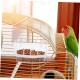 COLLBATH Bird Feeder for Bird Cages, Hanging Feeding Bowl Made of Robust, Easy to Clean for Parrots and Other Small Birds COLLBATH Bird Feeder for Bird Cages, Hanging Feeding Bowl Made of Robust, Easy to Clean for Parrots and Other Small Birds