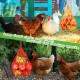 Chicken Vegetable Skewer Bag, Chicken Feeder, 10 Pieces Poultry Fruit Rack, Hanging Chicken Vegetable Feeder with Hook for Hens Chicken Kupp Duck Large Birds Chicken Vegetable Skewer Bag, Chicken Feeder, 10 Pieces Poultry Fruit Rack, Hanging Chicken Vegetable Feeder with Hook for Hens Chicken Kupp Duck Large Birds