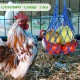 Chicken Vegetable Skewer Bag, Chicken Feeder, 10 Pieces Poultry Fruit Rack, Hanging Chicken Vegetable Feeder with Hook for Hens Chicken Kupp Duck Large Birds Chicken Vegetable Skewer Bag, Chicken Feeder, 10 Pieces Poultry Fruit Rack, Hanging Chicken Vegetable Feeder with Hook for Hens Chicken Kupp Duck Large Birds