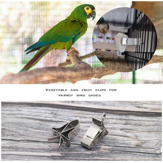 Create idea 6 x Bird Fruit Clips for Bird Cage Bird Vegetable Holder Clip Stainless Steel Bird Feeder for Birds Hamster Cockatiel Parrot Small Animals Create idea 6 x Bird Fruit Clips for Bird Cage Bird Vegetable Holder Clip Stainless Steel Bird Feeder for Birds Hamster Cockatiel Parrot Small Animals