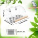 DGMI Transparent Bird Feeder Budgie Automatic Bird Feeder Stainless Steel Double Bird Bowls with Non-Slip Stand for Budgies, Canaries, Nymphensittic DGMI Transparent Bird Feeder Budgie Automatic Bird Feeder Stainless Steel Double Bird Bowls with Non-Slip Stand for Budgies, Canaries, Nymphensittic