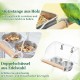 DGMI Transparent Bird Feeder Budgie Automatic Bird Feeder Stainless Steel Double Bird Bowls with Non-Slip Stand for Budgies, Canaries, Nymphensittic DGMI Transparent Bird Feeder Budgie Automatic Bird Feeder Stainless Steel Double Bird Bowls with Non-Slip Stand for Budgies, Canaries, Nymphensittic
