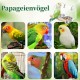 DGMI Transparent Bird Feeder Budgie Automatic Bird Feeder Stainless Steel Double Bird Bowls with Non-Slip Stand for Budgies, Canaries, Nymphensittic DGMI Transparent Bird Feeder Budgie Automatic Bird Feeder Stainless Steel Double Bird Bowls with Non-Slip Stand for Budgies, Canaries, Nymphensittic