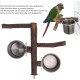 HEEPDD Bird Cage Feeder Set Pet Bird Wooden Perch Parrot Stand Feeder Bowl for Parrot HEEPDD Bird Cage Feeder Set Pet Bird Wooden Perch Parrot Stand Feeder Bowl for Parrot