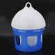 KIMISS Pigeon Water Automatic Bird Pigeon Feeder Water Dispenser 2L (2L) KIMISS Pigeon Water Automatic Bird Pigeon Feeder Water Dispenser 2L (2L)