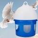 KIMISS Pigeon Water Automatic Bird Pigeon Feeder Water Dispenser 2L (2L) KIMISS Pigeon Water Automatic Bird Pigeon Feeder Water Dispenser 2L (2L)