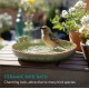 Navaris Large Ceramic Bird Bath, Bird Bath, Frost-Proof, Drinking Bowl for Birds, Design Bowl, Bird Bowl for the Garden or Balcony, Green Navaris Large Ceramic Bird Bath, Bird Bath, Frost-Proof, Drinking Bowl for Birds, Design Bowl, Bird Bowl for the Garden or Balcony, Green