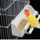 Nizirioo Pack of 4 Bird Feeding Bowls: Bird Feeder Column Feeding Container with Stand Bird Cage Accessories Bird Feeder for Hanging Bird Feeder Water Bowl for Parrots Wild Birds Nizirioo Pack of 4 Bird Feeding Bowls: Bird Feeder Column Feeding Container with Stand Bird Cage Accessories Bird Feeder for Hanging Bird Feeder Water Bowl for Parrots Wild Birds
