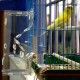No Mess Bird Feeder Acrylic Pet Birds Seeds Transparent Food Feeder Cage Parakeet Seed Food Container No Mess Bird Feeder Acrylic Pet Birds Seeds Transparent Food Feeder Cage Parakeet Seed Food Container