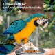 Pack of 2 Bird Feeding Bowls for Hanging, Stainless Steel Bowl with Holder, Bird Feeder Bowl, Stainless Steel Parrots Feeding Cup, for Birds, Parrots, Water Feeding Bowl