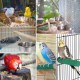 Pack of 2 Bird Feeding Bowls for Hanging, Stainless Steel Bowl with Holder, Bird Feeder Bowl, Stainless Steel Parrots Feeding Cup, for Birds, Parrots, Water Feeding Bowl