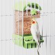 Parrot Automatic Feeder Anti-Scattering Bird Feeder for Cage Bird Feeder Bowl Container Parakeet Cage Accessories Finches Turtle Doves Budgies Canary 1 Molar Stone Parrot Automatic Feeder Anti-Scattering Bird Feeder for Cage Bird Feeder Bowl Container Parakeet Cage Accessories Finches Turtle Doves Budgies Canary 1 Molar Stone