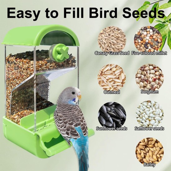 Parrot Automatic Feeder Anti-Scattering Bird Feeder for Cage Bird Feeder Bowl Container Parakeet Cage Accessories Finches Turtle Doves Budgies Canary 1 Molar Stone Parrot Automatic Feeder Anti-Scattering Bird Feeder for Cage Bird Feeder Bowl Container Parakeet Cage Accessories Finches Turtle Doves Budgies Canary 1 Molar Stone