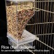 QCSTORE Automatic Bird Feeder Transparent Water Dispenser Drinking Bottle for Budgies Canaries Cockatiels Finches Parakeets Feeding Station QCSTORE Automatic Bird Feeder Transparent Water Dispenser Drinking Bottle for Budgies Canaries Cockatiels Finches Parakeets Feeding Station
