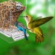 SUPYINI Automatic Bird Feeder Transparent Bird Feeder Parakeet Cage Automatic Bird Feeder Cage Accessories Budgies Canaries SUPYINI Automatic Bird Feeder Transparent Bird Feeder Parakeet Cage Automatic Bird Feeder Cage Accessories Budgies Canaries
