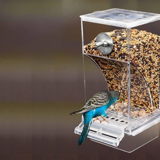 SUPYINI Automatic Bird Feeder Transparent Bird Feeder Parakeet Cage Automatic Bird Feeder Cage Accessories Budgies Canaries SUPYINI Automatic Bird Feeder Transparent Bird Feeder Parakeet Cage Automatic Bird Feeder Cage Accessories Budgies Canaries