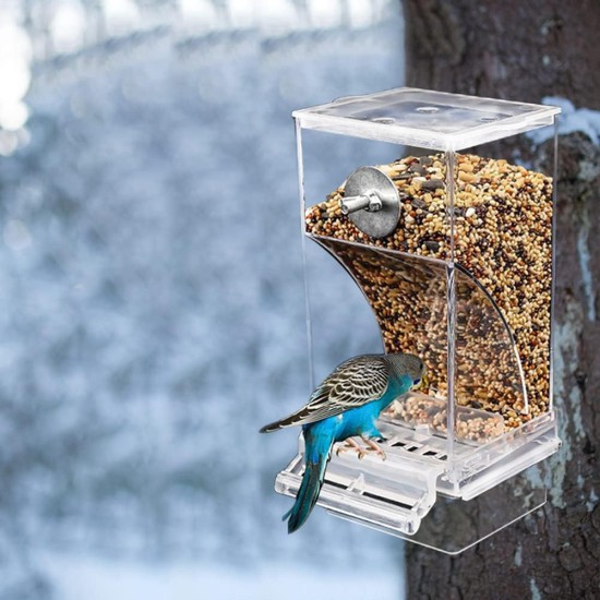 SUPYINI Automatic Bird Feeder Transparent Bird Feeder Parakeet Cage Automatic Bird Feeder Cage Accessories Budgies Canaries SUPYINI Automatic Bird Feeder Transparent Bird Feeder Parakeet Cage Automatic Bird Feeder Cage Accessories Budgies Canaries