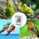 Sipiris Automatic Feeder for Birds, 2 Pieces, Bird Feeder, Automatic Feeder, Bird Cage for Budgies, Canaries, Food Container (425 g + 270 g) Sipiris Automatic Feeder for Birds, 2 Pieces, Bird Feeder, Automatic Feeder, Bird Cage for Budgies, Canaries, Food Container (425 g + 270 g)