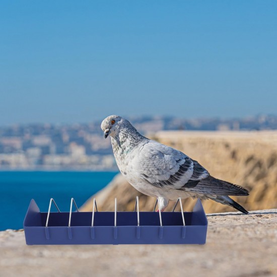 TOGEVAL 2 x Pigeon Feeding Trough Anti-Splash Feeding Box for Bird Cage PP Material Easy to Clean for Small Birds such as Pigeons Cockatiels and Budgies TOGEVAL 2 x Pigeon Feeding Trough Anti-Splash Feeding Box for Bird Cage PP Material Easy to Clean for Small Birds such as Pigeons Cockatiels and Budgies