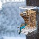 Topiky Automatischer Vogelfutterspender, Spritzwassergeschützt, Käfigzubehör für Sittiche, Kanarienvögel, Nymphensittiche, Finken, Material, Filterloch, Stangendesign (1) Topiky Automatischer Vogelfutterspender, Spritzwassergeschützt, Käfigzubehör für Sittiche, Kanarienvögel, Nymphensittiche, Finken, Material, Filterloch, Stangendesign (1)