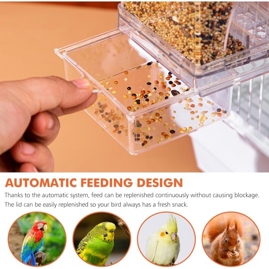 Transparent Automatic Bird Feeder: Bird Feeder, Automatic Water Dispenser, Cage Accessories, for Parrots, Budgies, Canaries, Cockatiels, Finches Transparent Automatic Bird Feeder: Bird Feeder, Automatic Water Dispenser, Cage Accessories, for Parrots, Budgies, Canaries, Cockatiels, Finches