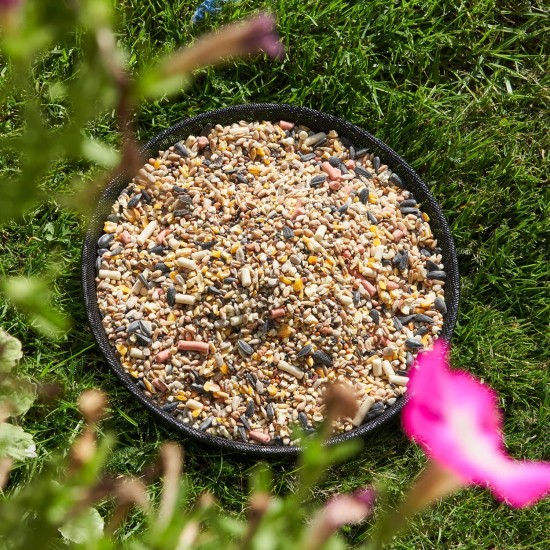 Walter HarrisonsGround Feeder Tray 22cm Walter HarrisonsGround Feeder Tray 22cm