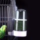 balacoo Bird Water Dispenser, Automatic Bird Bath, Poultry Drinker, Budgie, Feeder, Cage, Water Drinker for Parrot, Parakeet, Bird Cage Accessories balacoo Bird Water Dispenser, Automatic Bird Bath, Poultry Drinker, Budgie, Feeder, Cage, Water Drinker for Parrot, Parakeet, Bird Cage Accessories