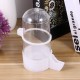 balacoo Bird Water Dispenser, Automatic Bird Bath, Poultry Drinker, Budgie, Feeder, Cage, Water Drinker for Parrot, Parakeet, Bird Cage Accessories balacoo Bird Water Dispenser, Automatic Bird Bath, Poultry Drinker, Budgie, Feeder, Cage, Water Drinker for Parrot, Parakeet, Bird Cage Accessories