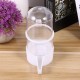 balacoo Bird Water Dispenser, Automatic Bird Bath, Poultry Drinker, Budgie, Feeder, Cage, Water Drinker for Parrot, Parakeet, Bird Cage Accessories balacoo Bird Water Dispenser, Automatic Bird Bath, Poultry Drinker, Budgie, Feeder, Cage, Water Drinker for Parrot, Parakeet, Bird Cage Accessories