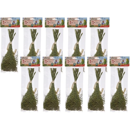 Dehner Best Nature 10 x 50g (500g) 100% Natural Bird Snack Snack Snack for Budgies, Canaries, Ornamental Birds, Panicle Millet Dehner Best Nature 10 x 50g (500g) 100% Natural Bird Snack Snack Snack for Budgies, Canaries, Ornamental Birds, Panicle Millet